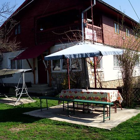 Vila Mihaela بريزا المظهر الخارجي الصورة