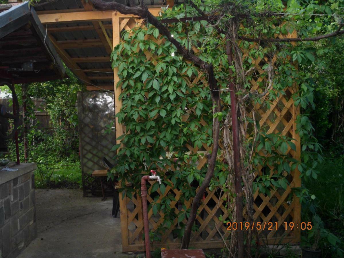 Vila Mihaela بريزا المظهر الخارجي الصورة